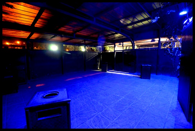 Salón de Fausto durante una noche de show